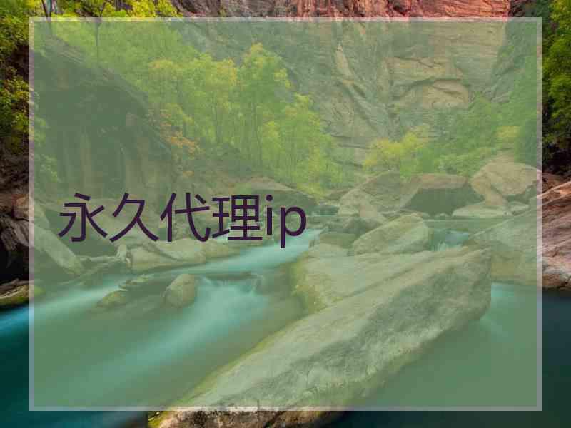 永久代理ip