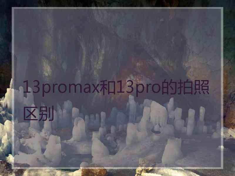 13promax和13pro的拍照区别