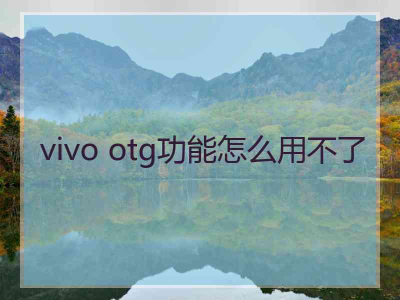 vivo otg功能怎么用不了