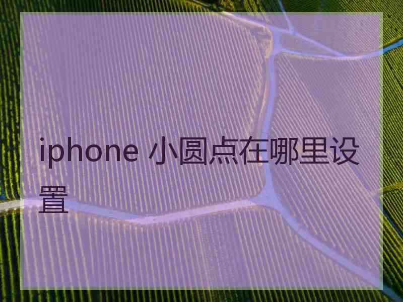 iphone 小圆点在哪里设置