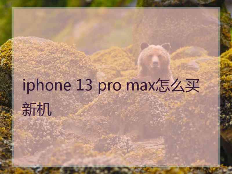 iphone 13 pro max怎么买新机