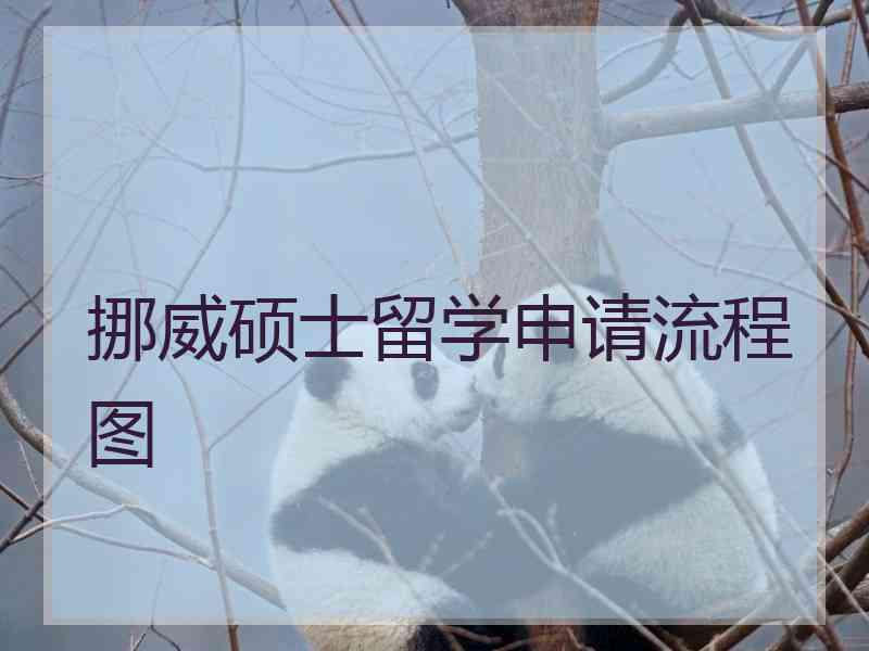 挪威硕士留学申请流程图