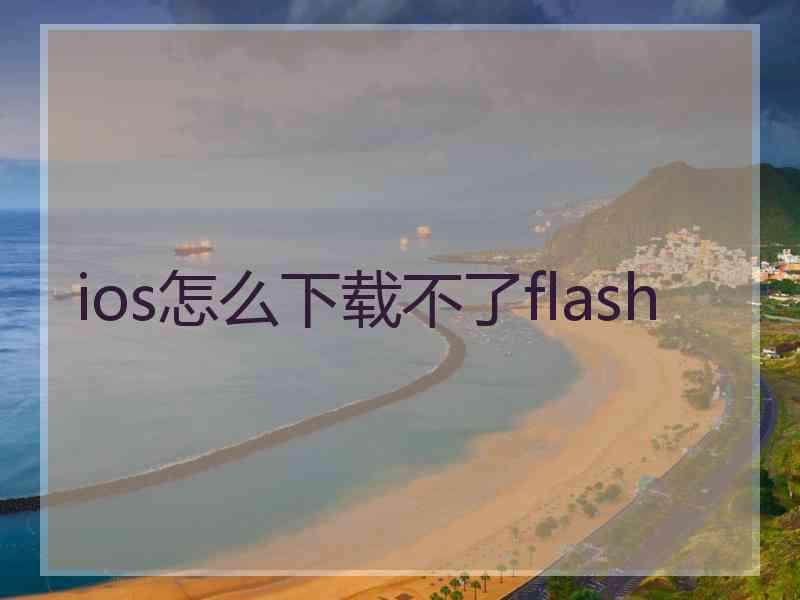 ios怎么下载不了flash