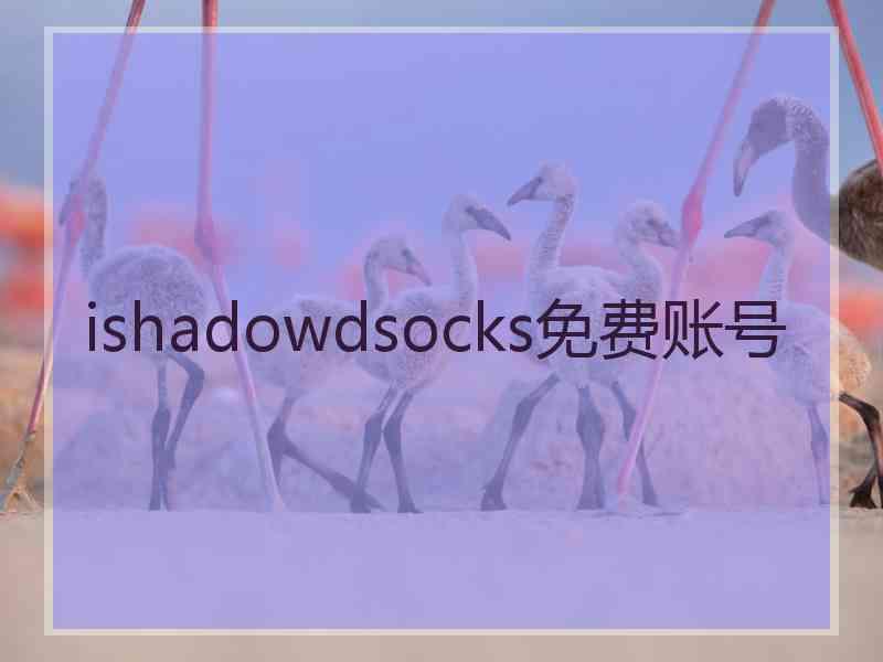 ishadowdsocks免费账号