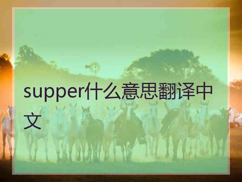 supper什么意思翻译中文