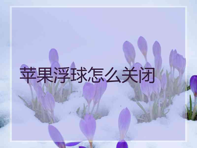 苹果浮球怎么关闭