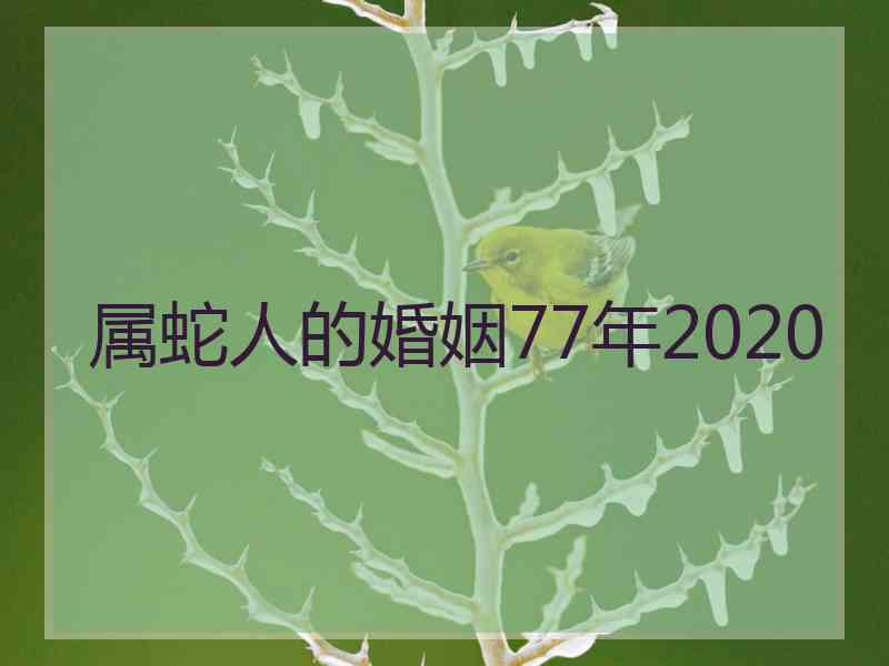 属蛇人的婚姻77年2020