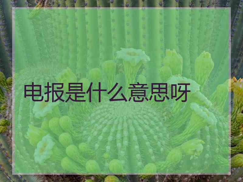 电报是什么意思呀