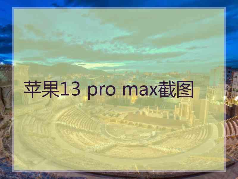 苹果13 pro max截图