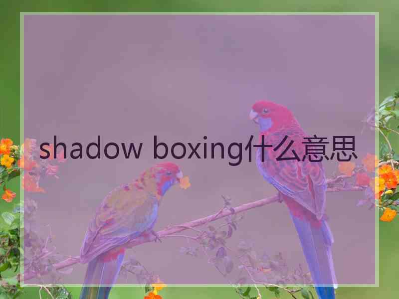 shadow boxing什么意思