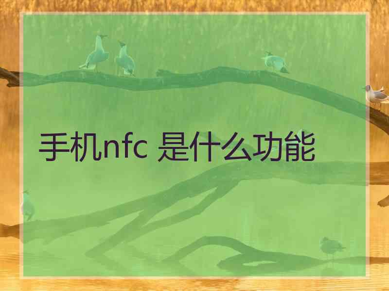 手机nfc 是什么功能