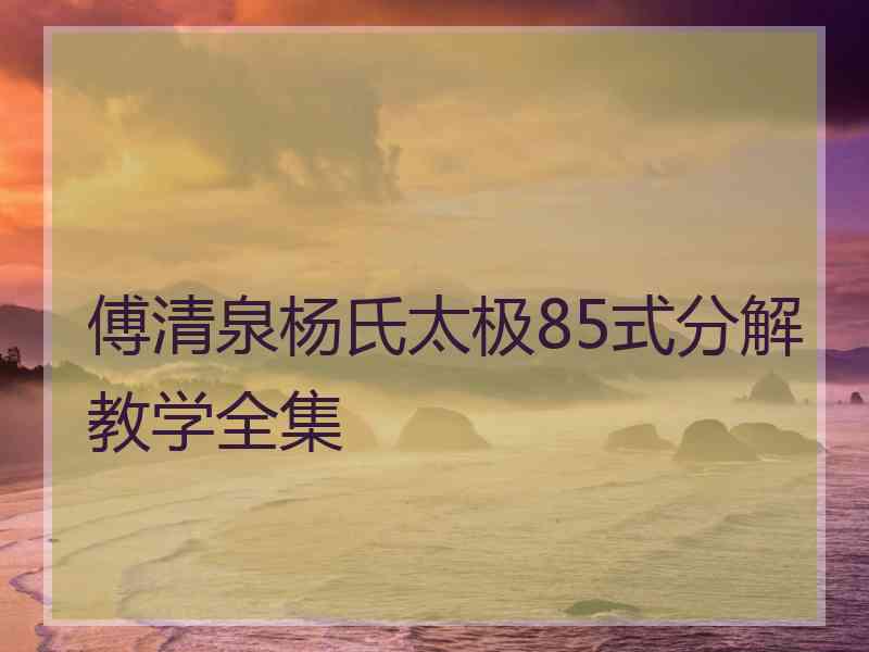 傅清泉杨氏太极85式分解教学全集