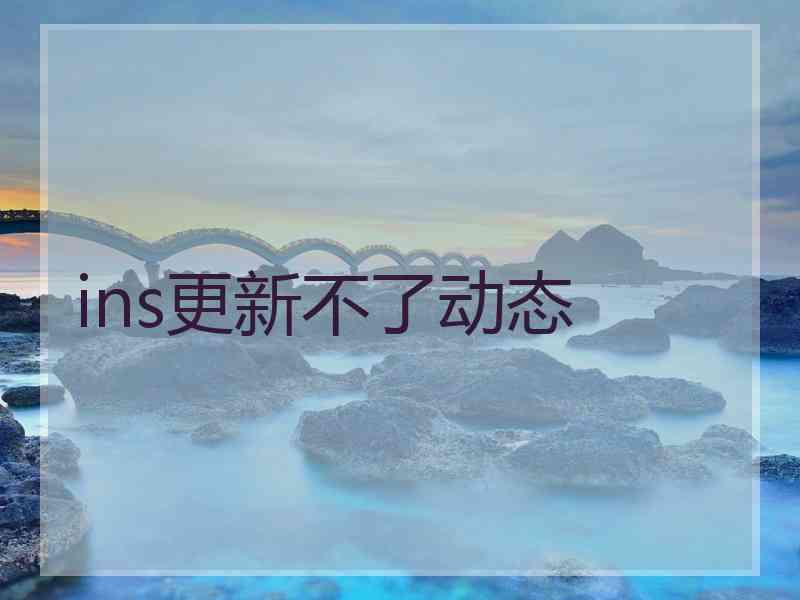 ins更新不了动态