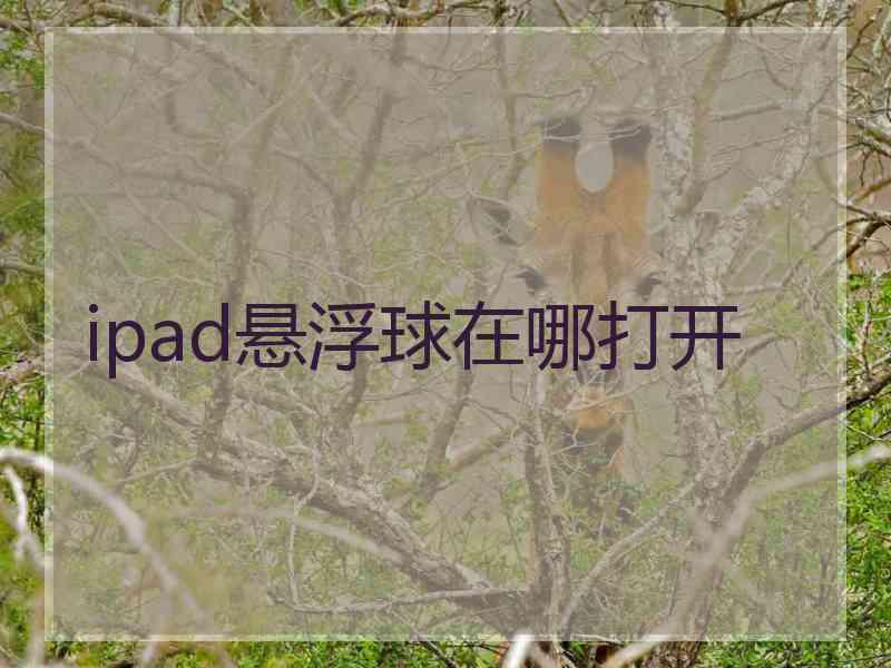 ipad悬浮球在哪打开