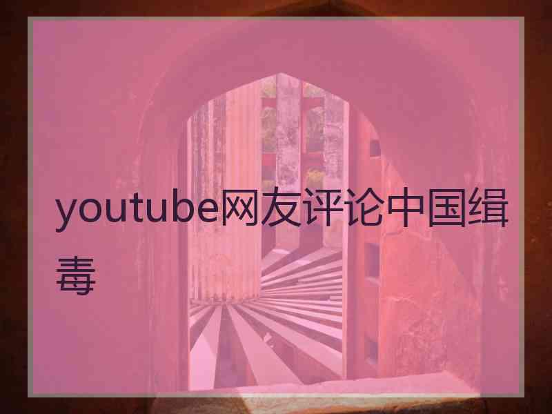 youtube网友评论中国缉毒