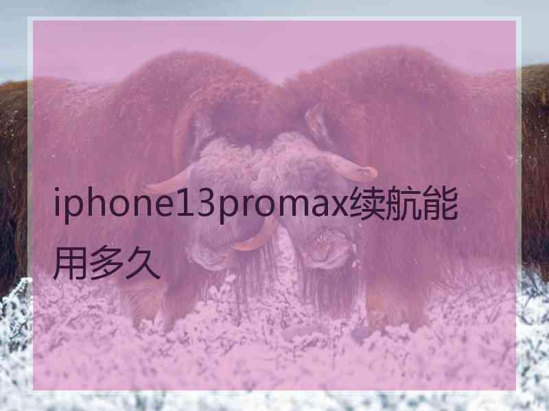 iphone13promax续航能用多久