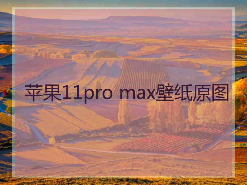 苹果11pro max壁纸原图