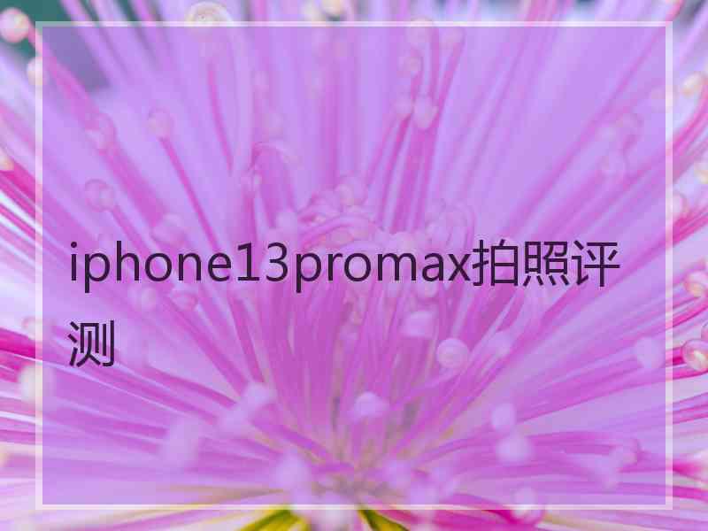 iphone13promax拍照评测