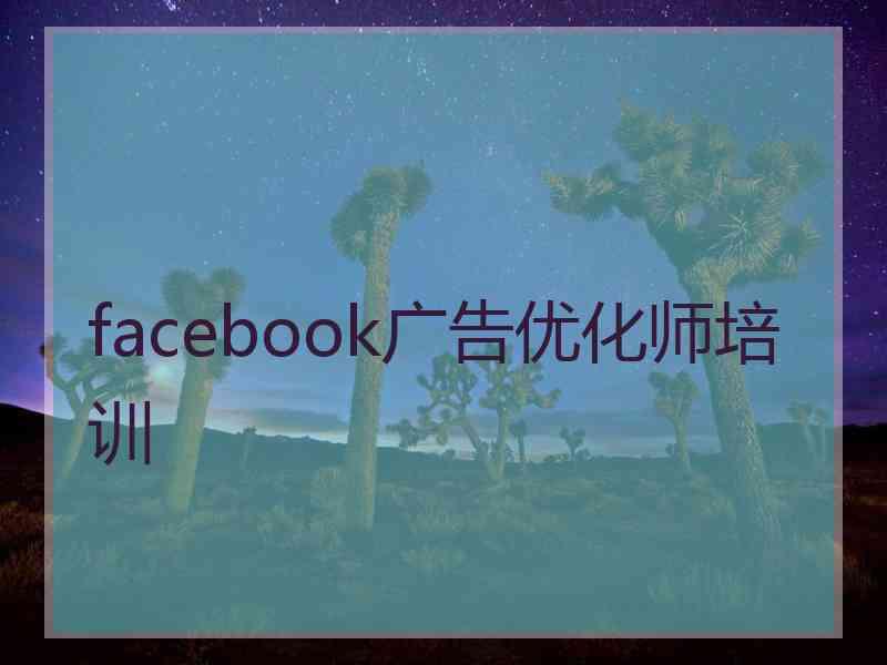 facebook广告优化师培训