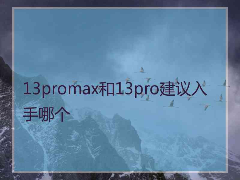 13promax和13pro建议入手哪个