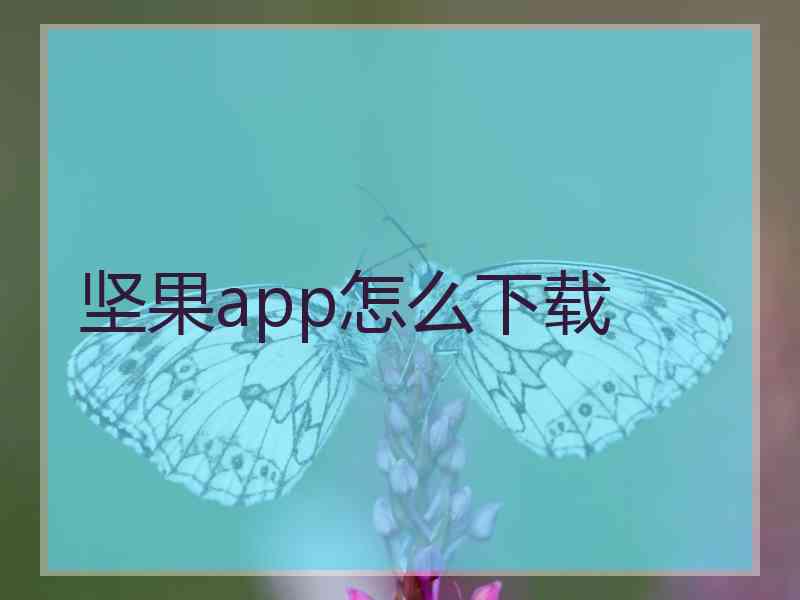 坚果app怎么下载