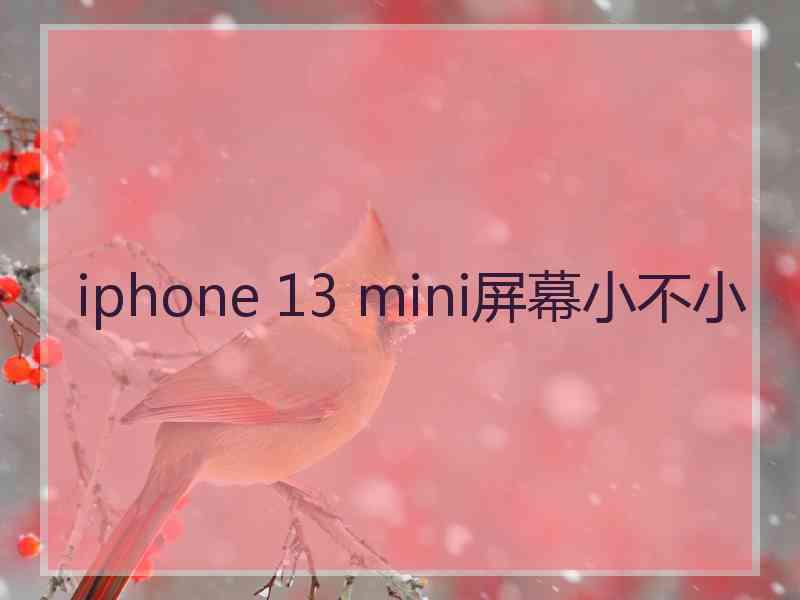 iphone 13 mini屏幕小不小