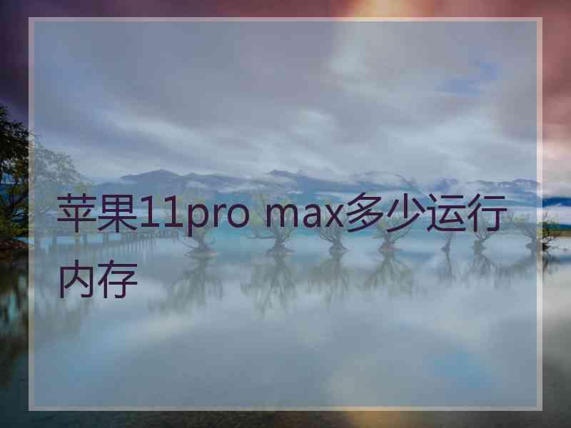 苹果11pro max多少运行内存