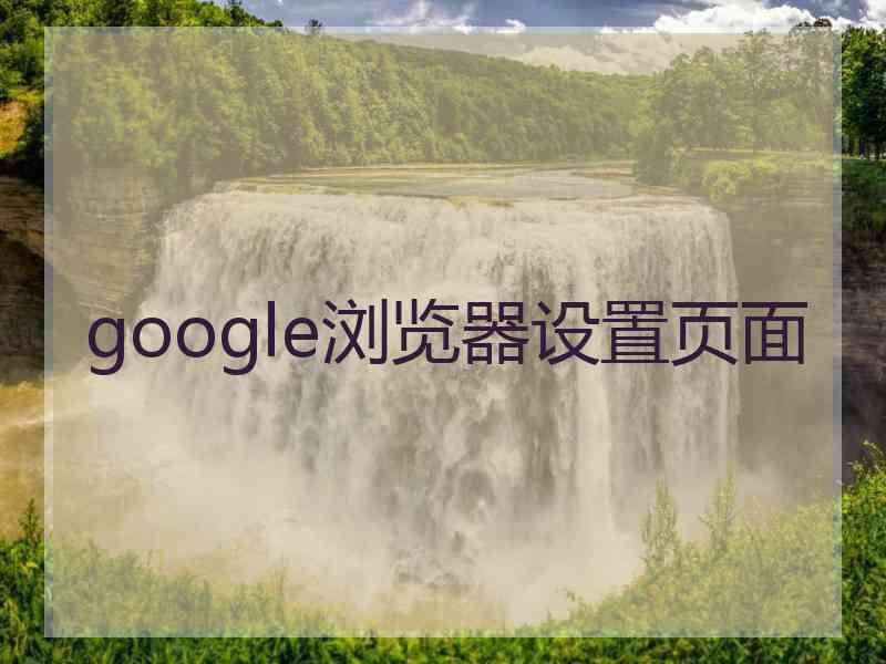 google浏览器设置页面