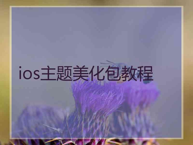 ios主题美化包教程