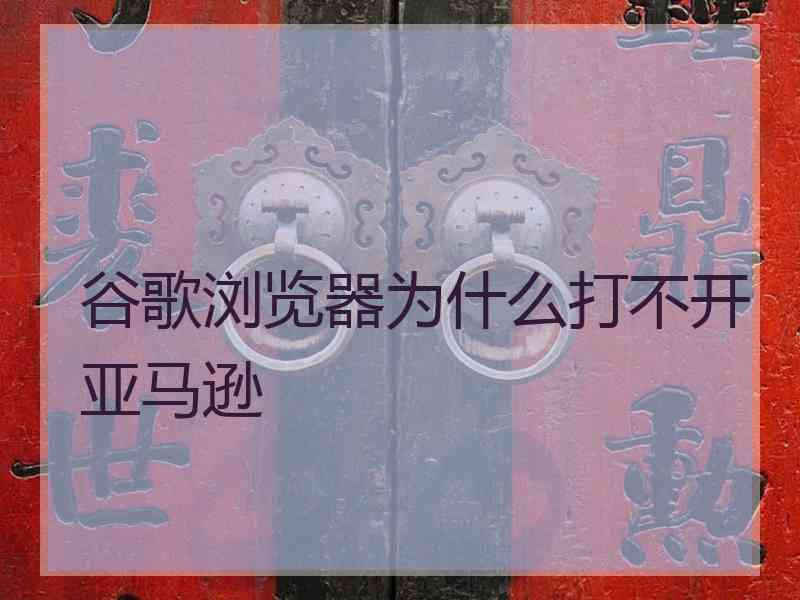 谷歌浏览器为什么打不开亚马逊