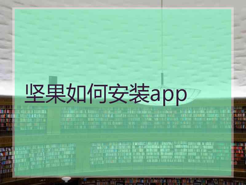 坚果如何安装app