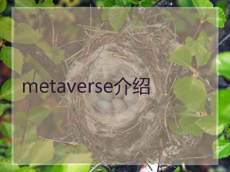 metaverse介绍