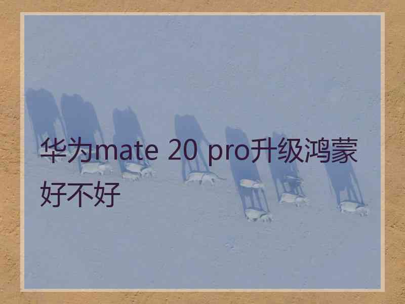 华为mate 20 pro升级鸿蒙好不好