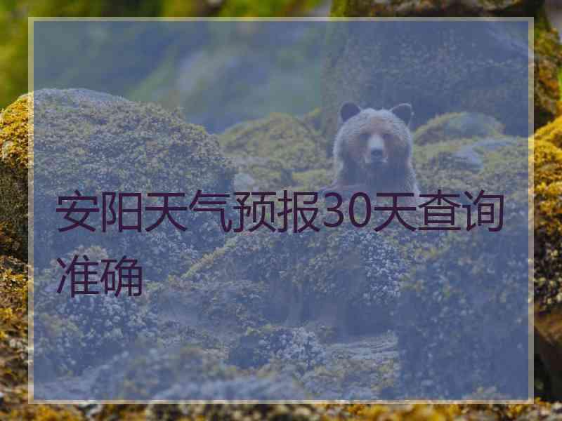 安阳天气预报30天查询准确