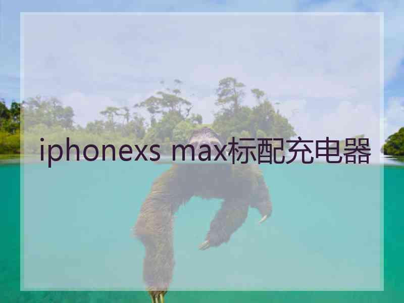 iphonexs max标配充电器