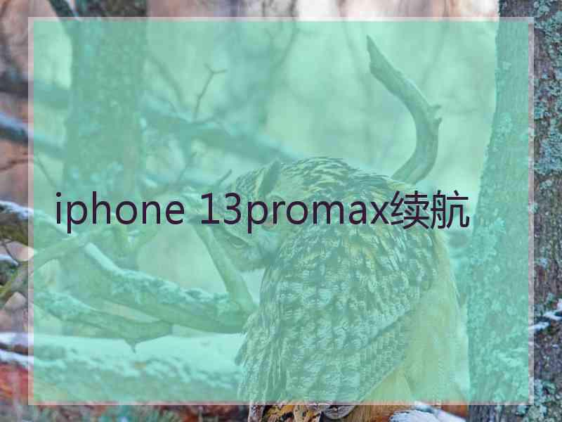 iphone 13promax续航