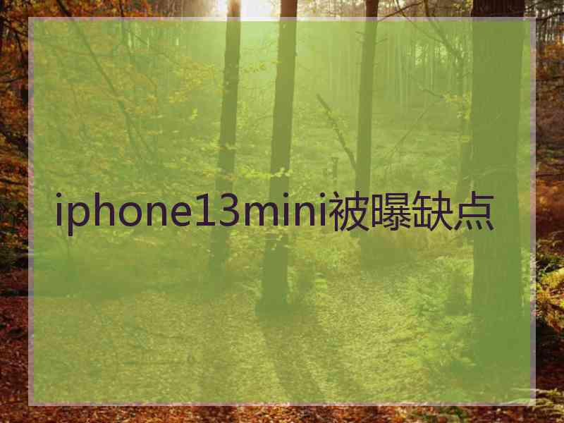 iphone13mini被曝缺点