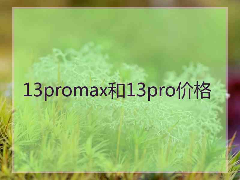 13promax和13pro价格