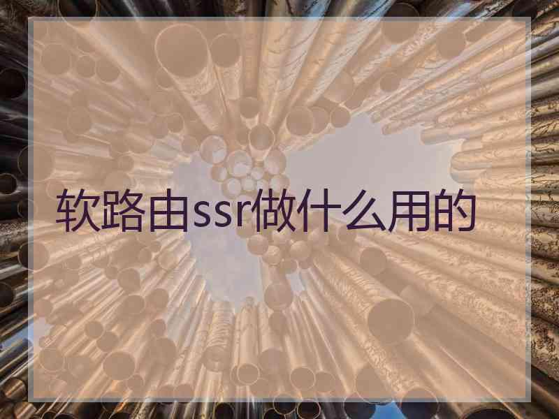 软路由ssr做什么用的