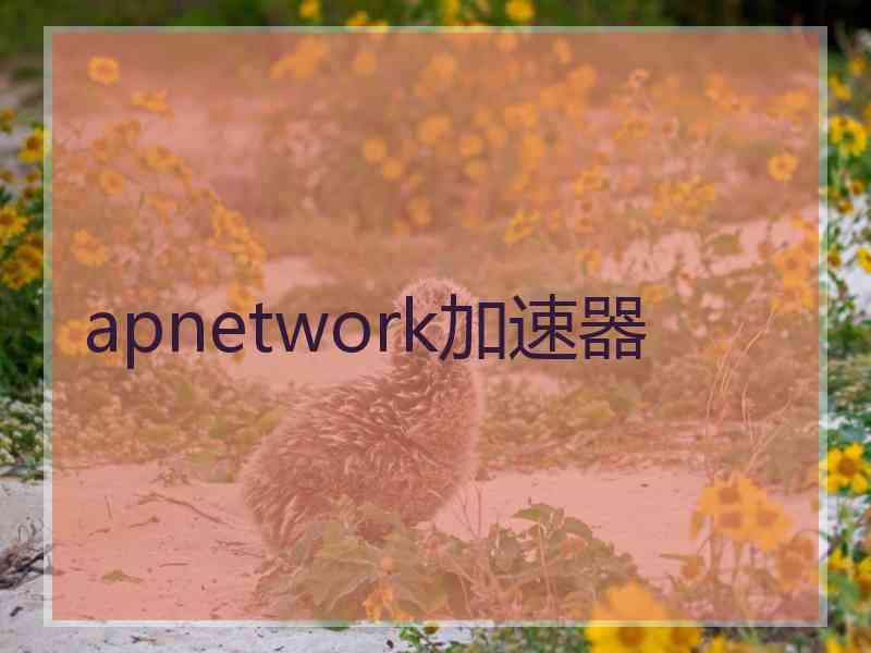 apnetwork加速器