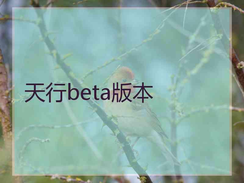 天行beta版本