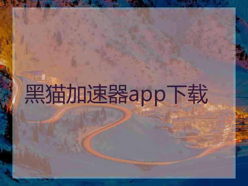 黑猫加速器app下载