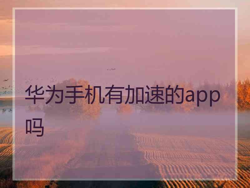 华为手机有加速的app吗