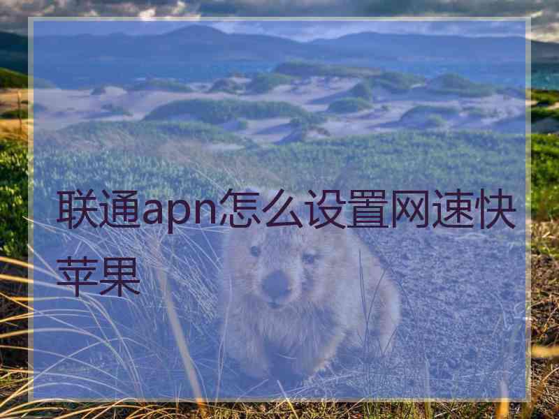 联通apn怎么设置网速快苹果