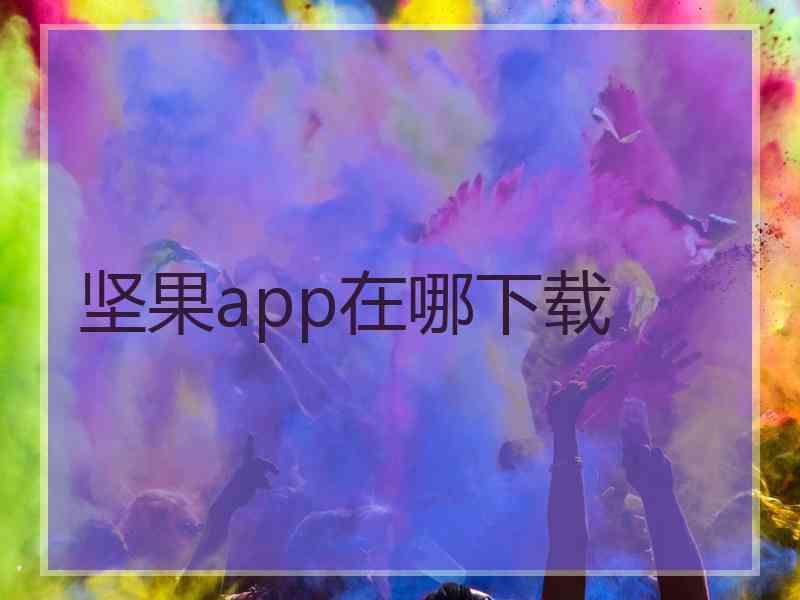 坚果app在哪下载