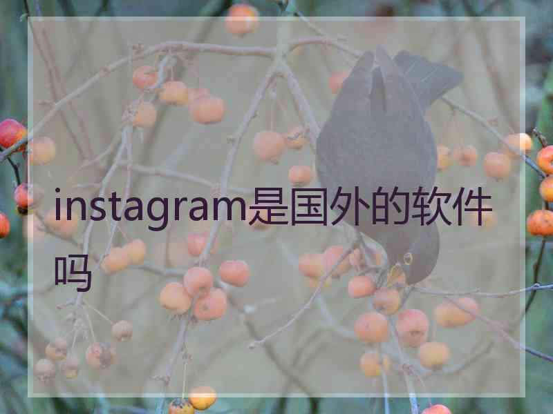 instagram是国外的软件吗