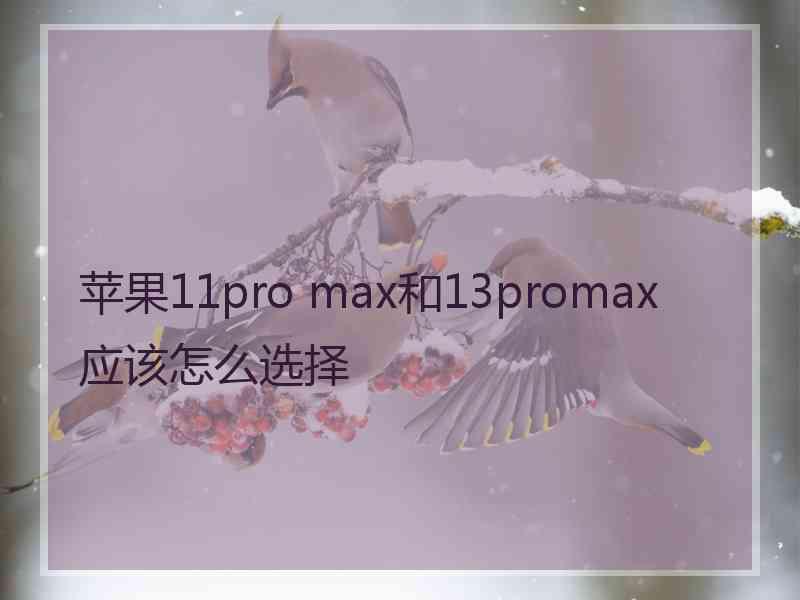 苹果11pro max和13promax应该怎么选择