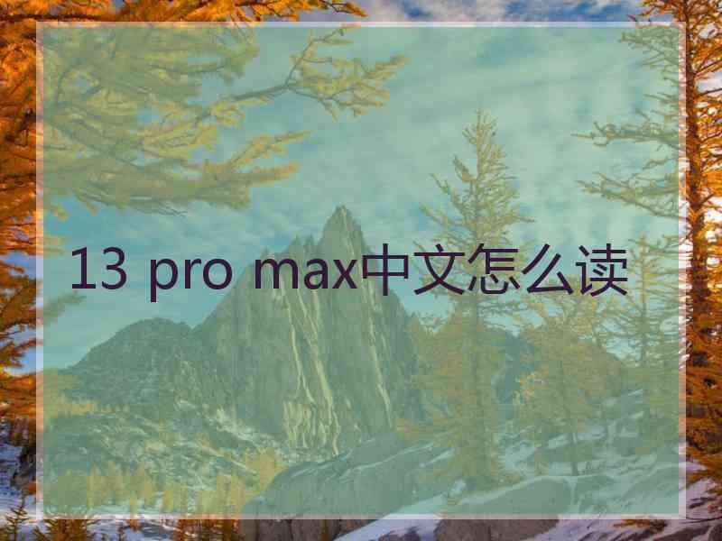 13 pro max中文怎么读