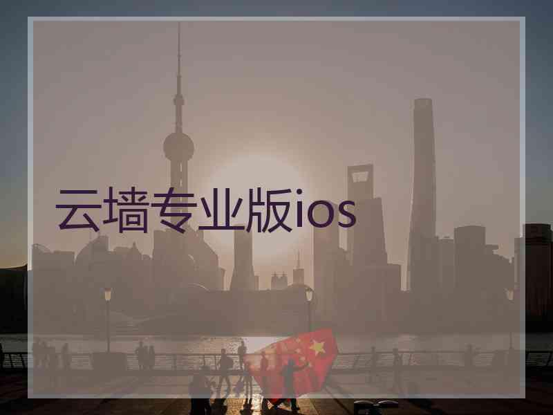 云墙专业版ios