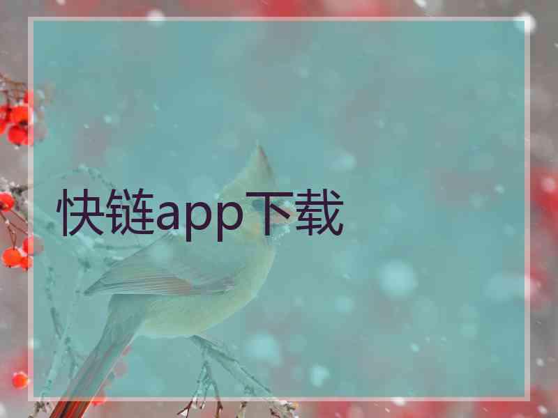 快链app下载